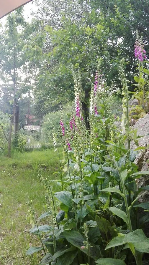 Ferienwohnung To Tutaj Schreiberhau Polen